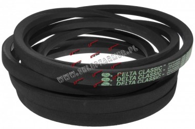 PAS KLIN. 603017 /GATES/ DELTA CLASSIC C225