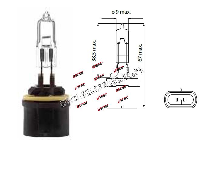 ŻARÓWKA 12.8V 50W /PG13/ /885/