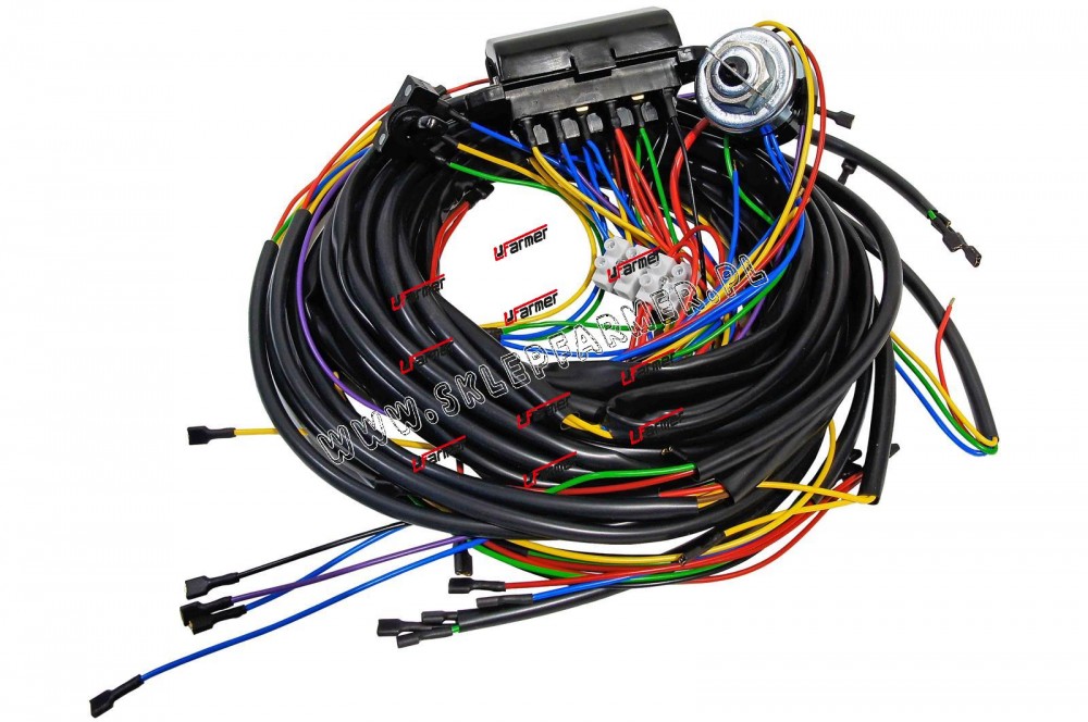 WIĄZKA ELEKTR./ŁĄCZONA//ALTER/ /URSUS/ C360