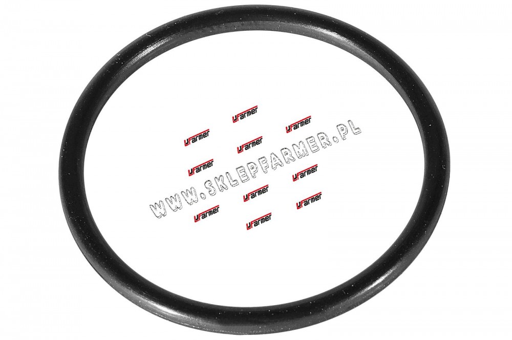 ORING CYLINDRA PODNONIKA 7703065058 /ORG/ CLAAS